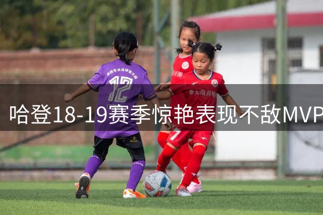 哈登18-19赛季惊艳表现不敌MVP之争