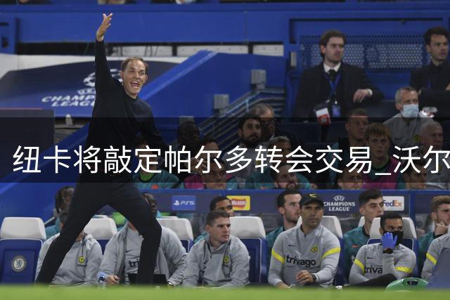 纽卡将敲定帕尔多转会交易 沃尔特马德或离队多名老将留队