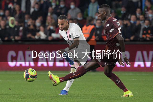 DeepSeek 大幅降价